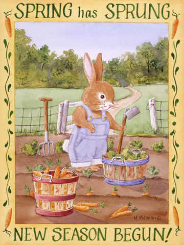 Bunny 1